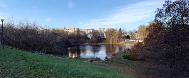 DSC 0041