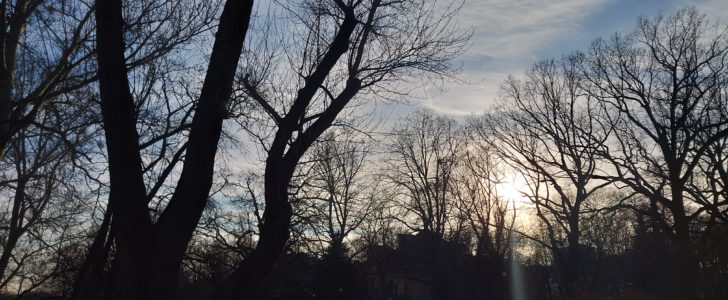 DSC 0042