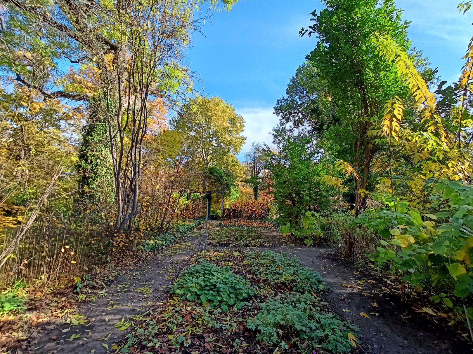 IMG20201029103509 00