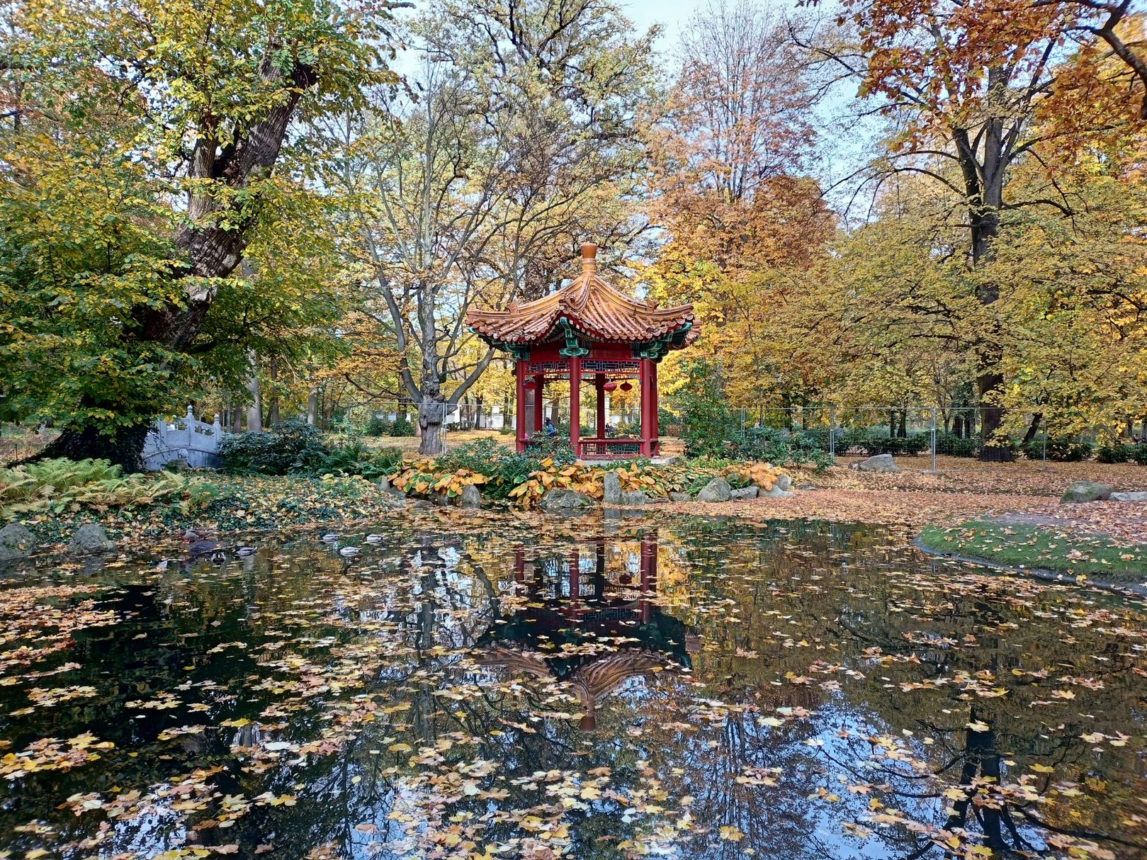 IMG20201029124438 00