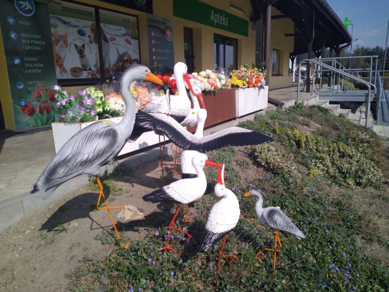 IMG 20210402 144359
