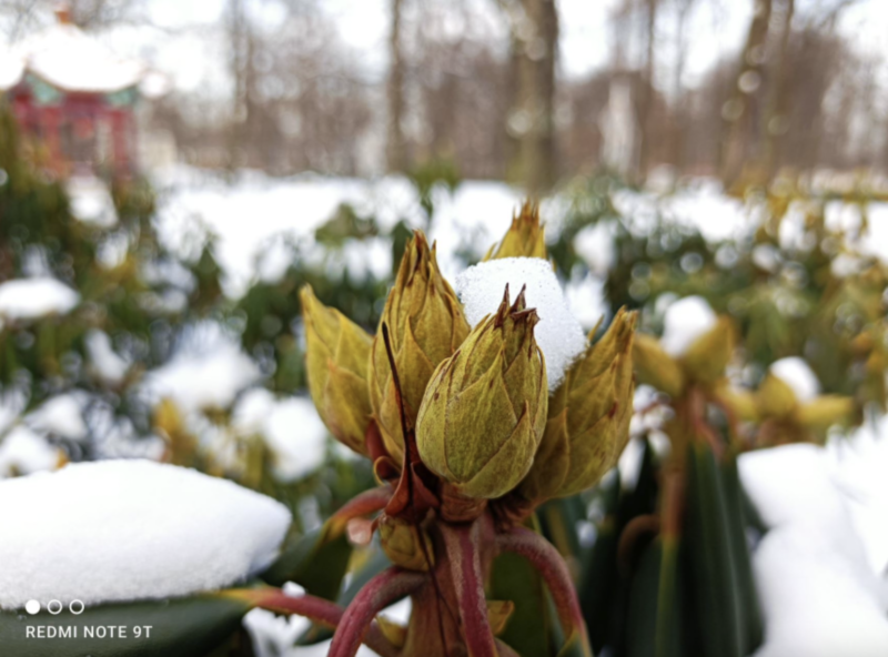 Снимок экрана 2021 04 02 в 13.40.16