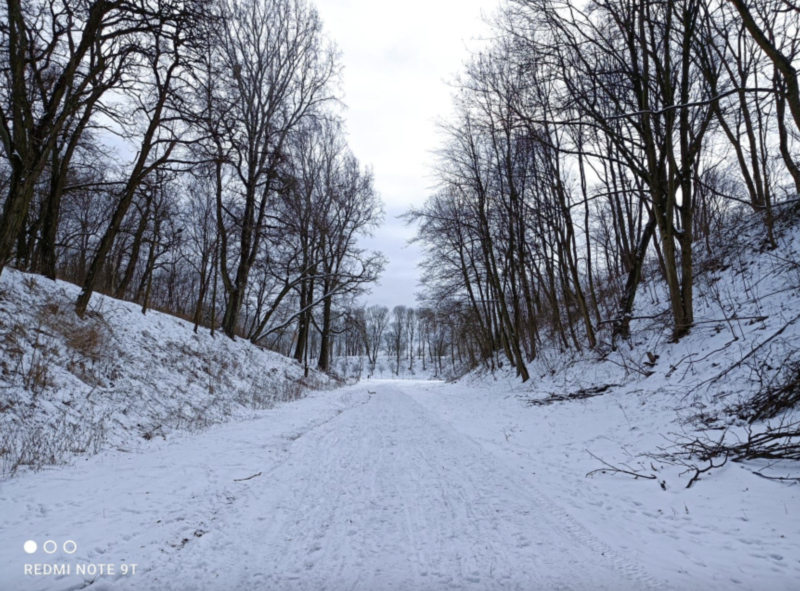 Снимок экрана 2021 04 02 в 13.42.51