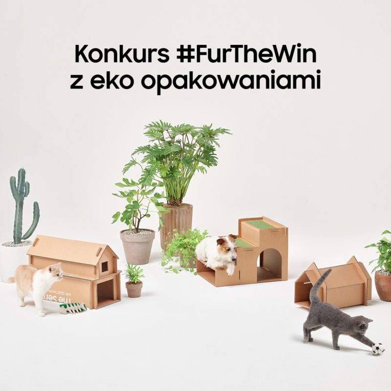 FurTheWin 4