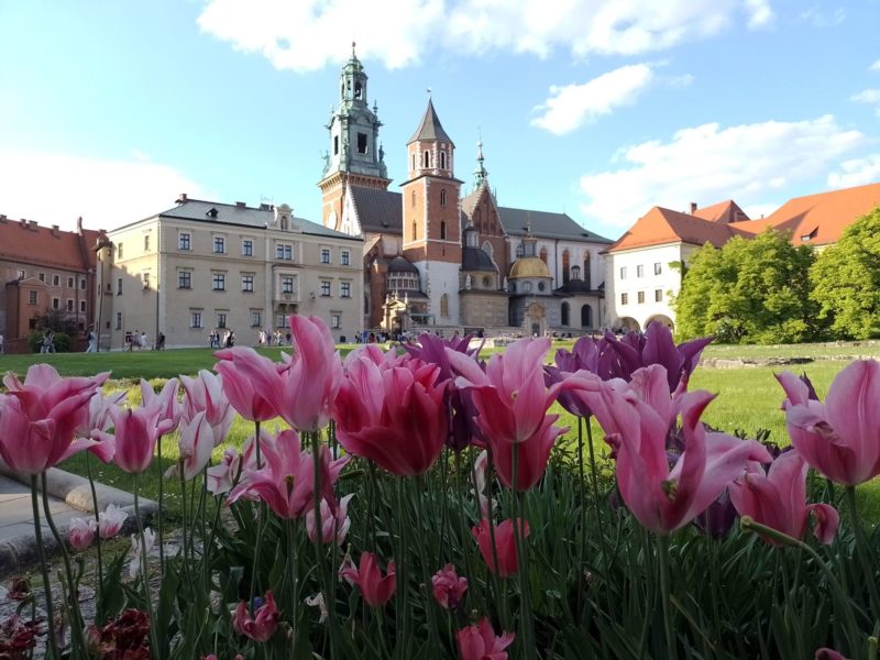 Motorola Moto g20 033