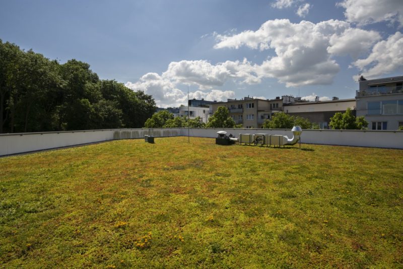 87e12c1c1a5eda6c595e991a6024d218