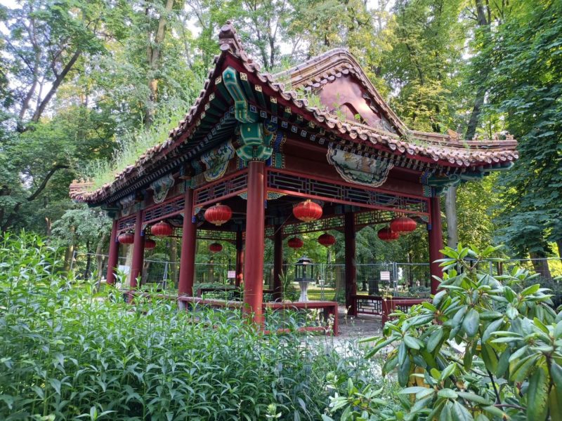 Realme narzo 30 5G   049