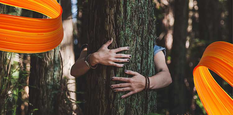 EKO GB w Orange Flex – posadź las z Orange