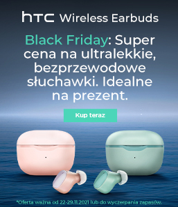 BF2021 Wireless Earbuds 257x300