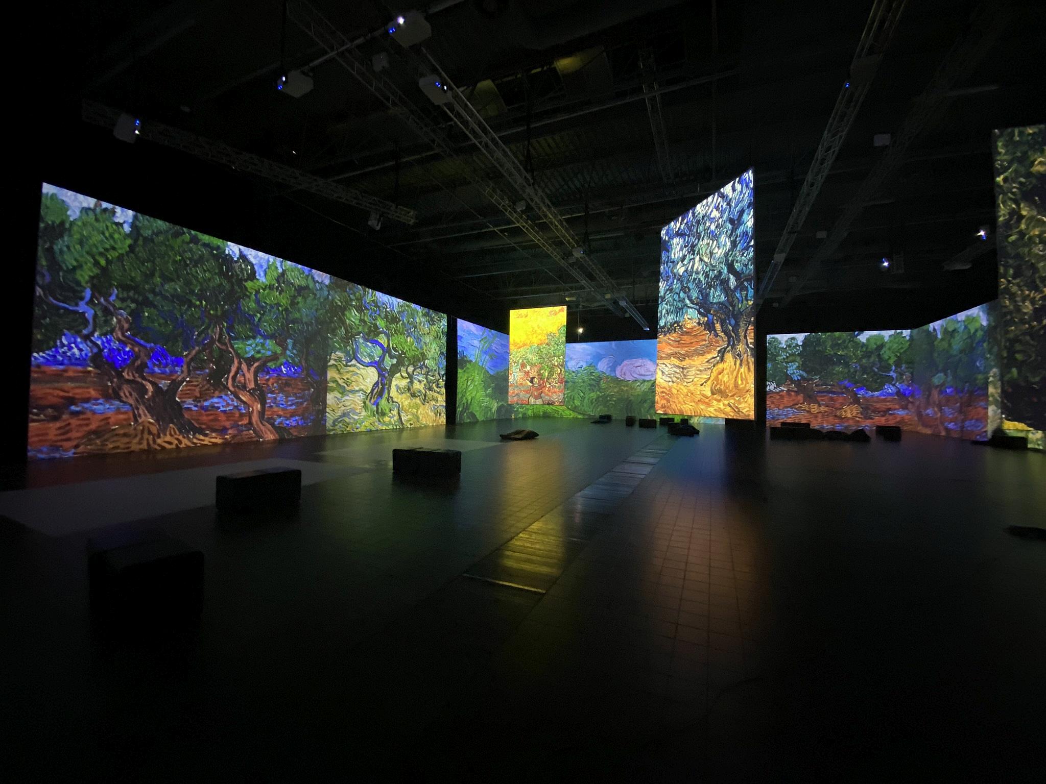 Laserowe projektory Epson tworzą magiczny świat obrazów i listów Vincenta Van Gogha