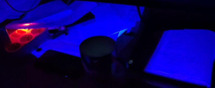 IMG 20220310 045700
