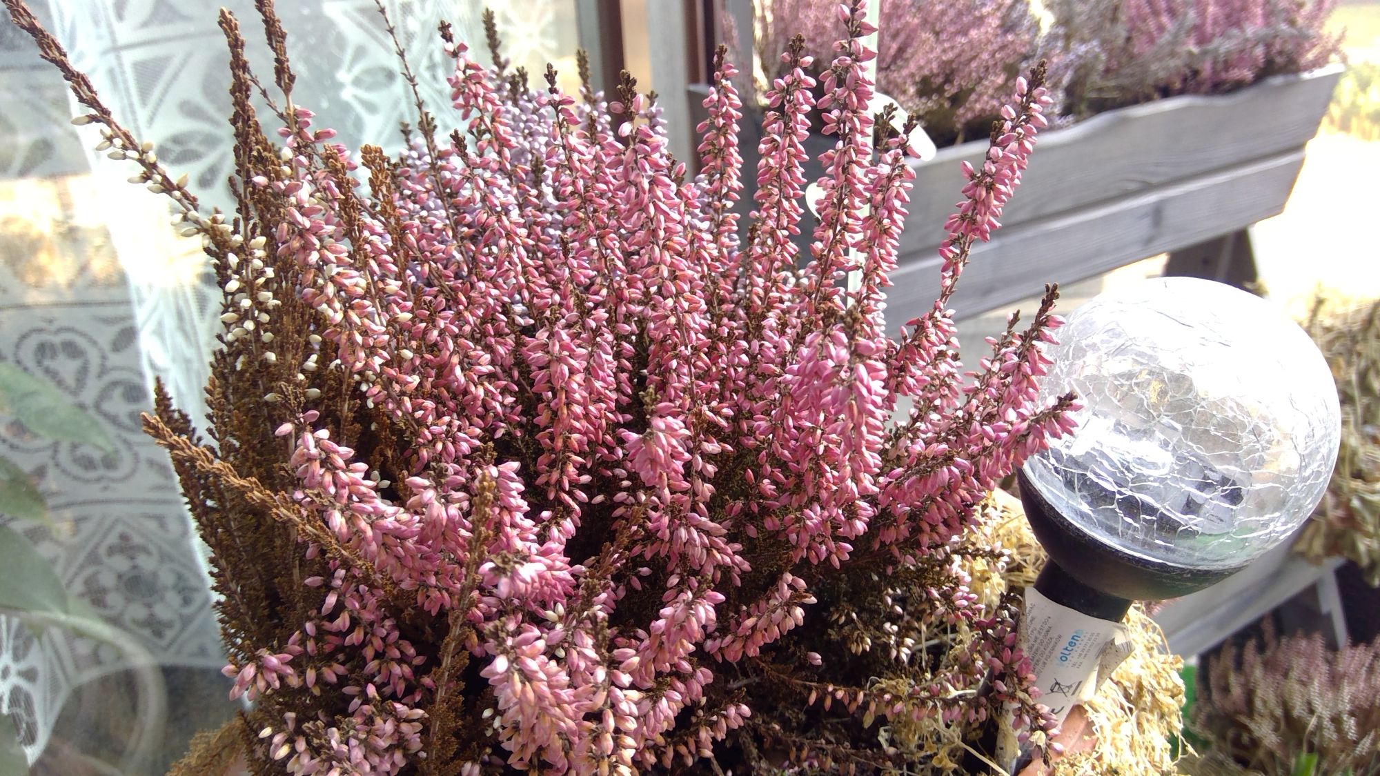 WIN 20220301 11 55 36 Pro