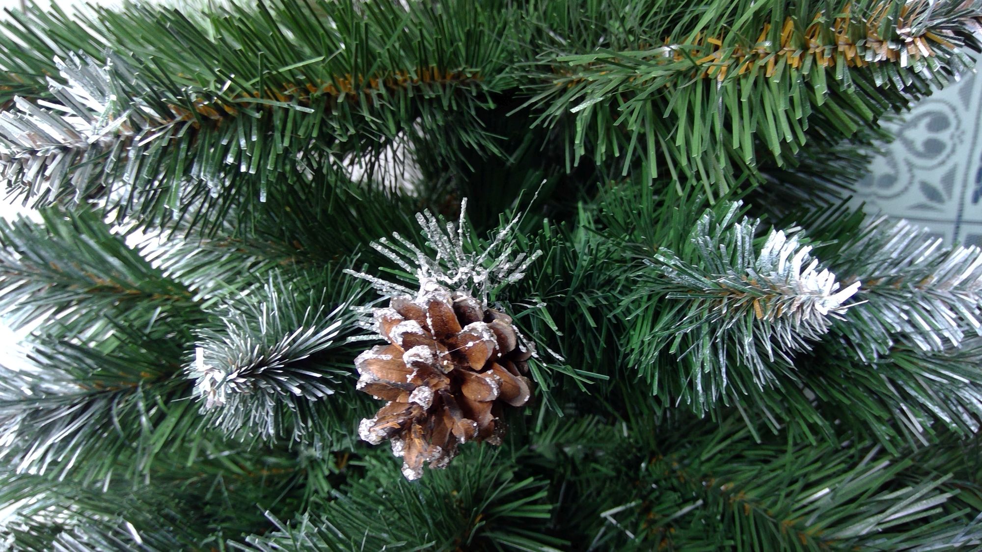 WIN 20220301 11 55 46 Pro