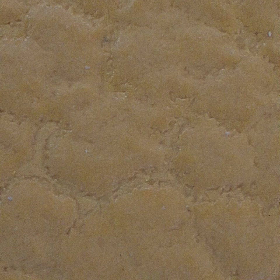 image processing20220427 494100 1jwhw5m