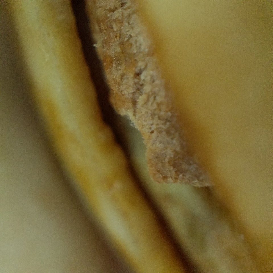 image processing20220427 494100 1t4wzyh