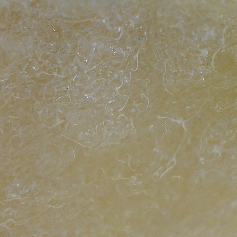 image processing20220427 494100 1xpqw6i