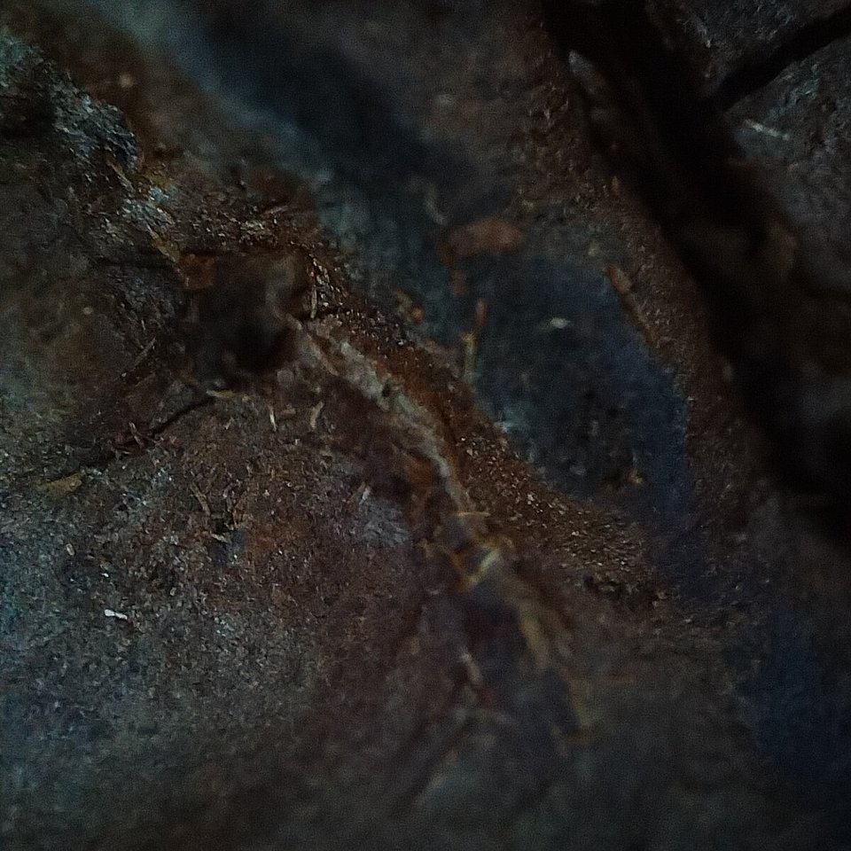 image processing20220427 494100 mx83fz