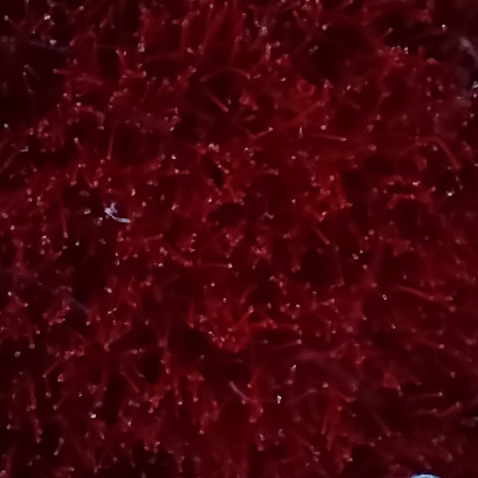 image processing20220427 498898 1z0v0va