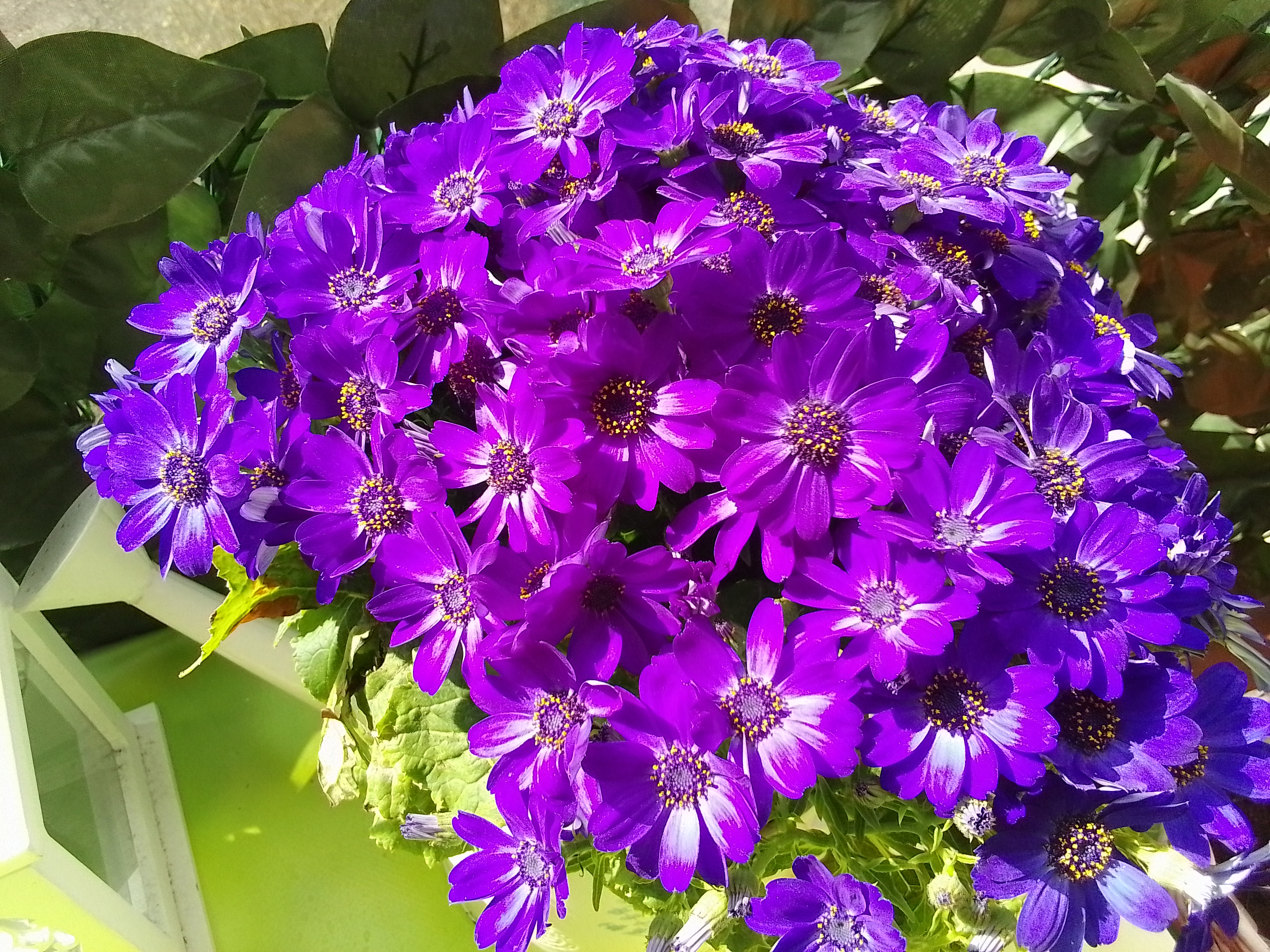 IMG 20220424 103115~2