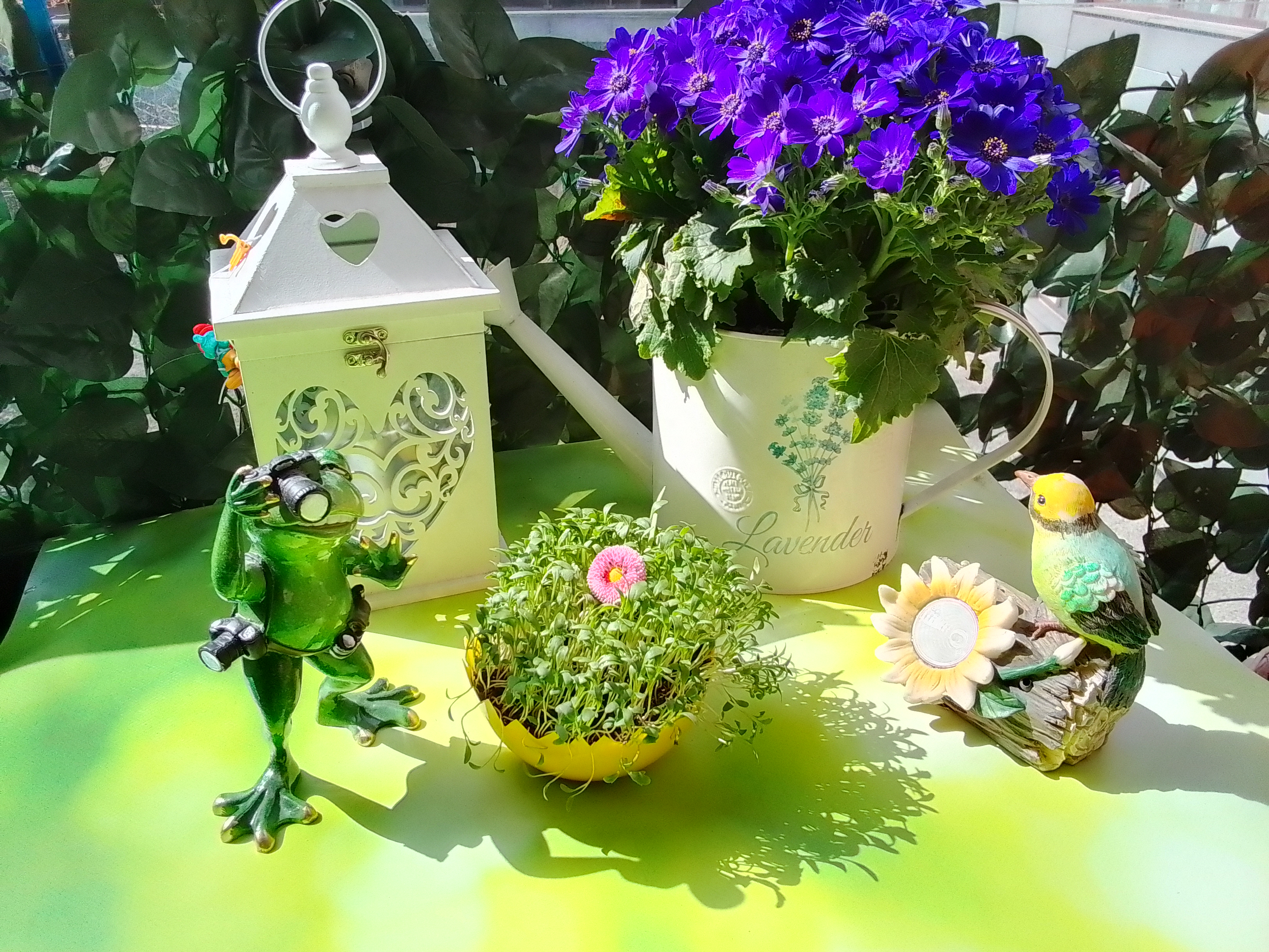 IMG 20220424 103121 HDR