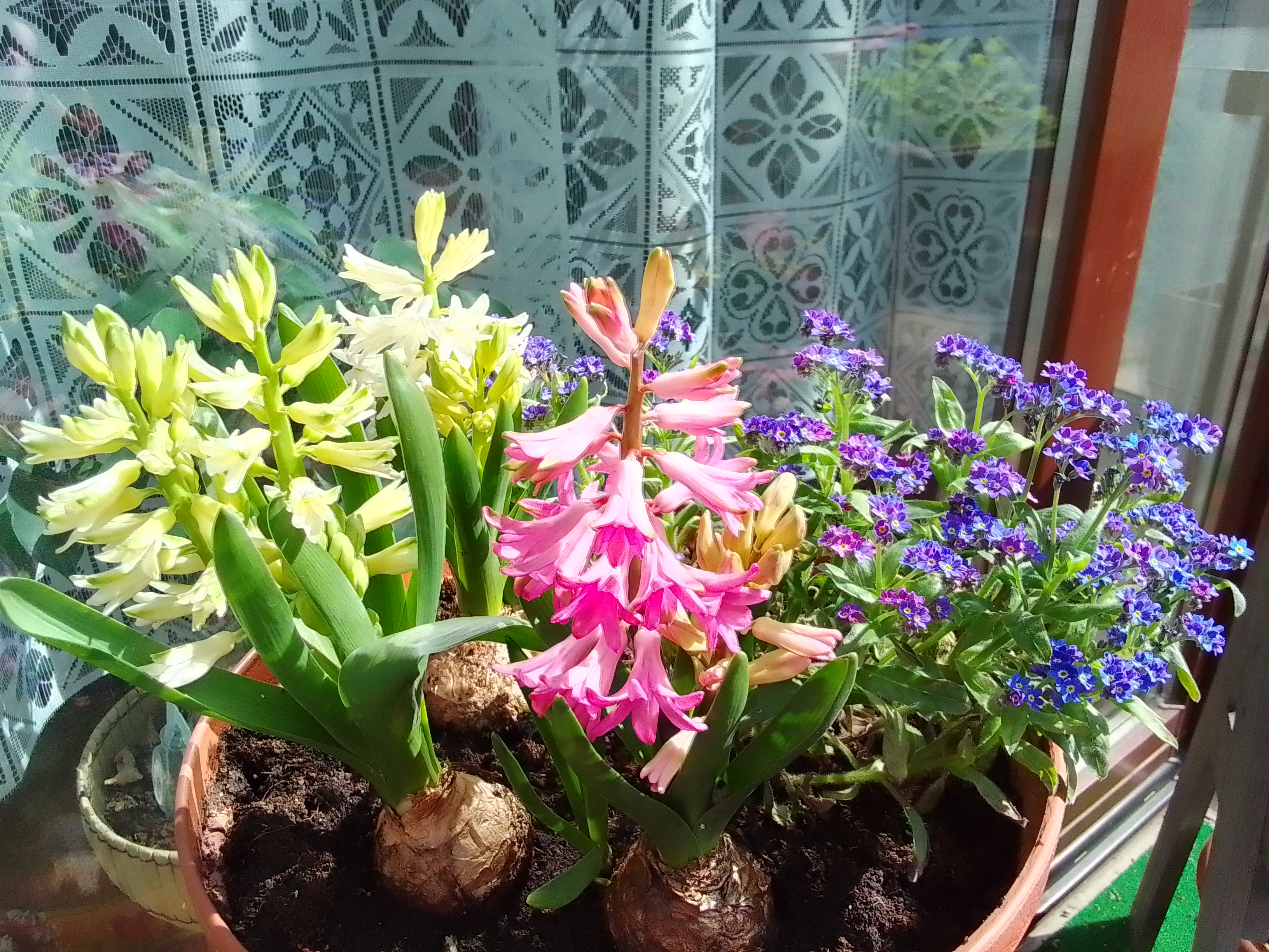 IMG 20220424 103123 HDR (1)