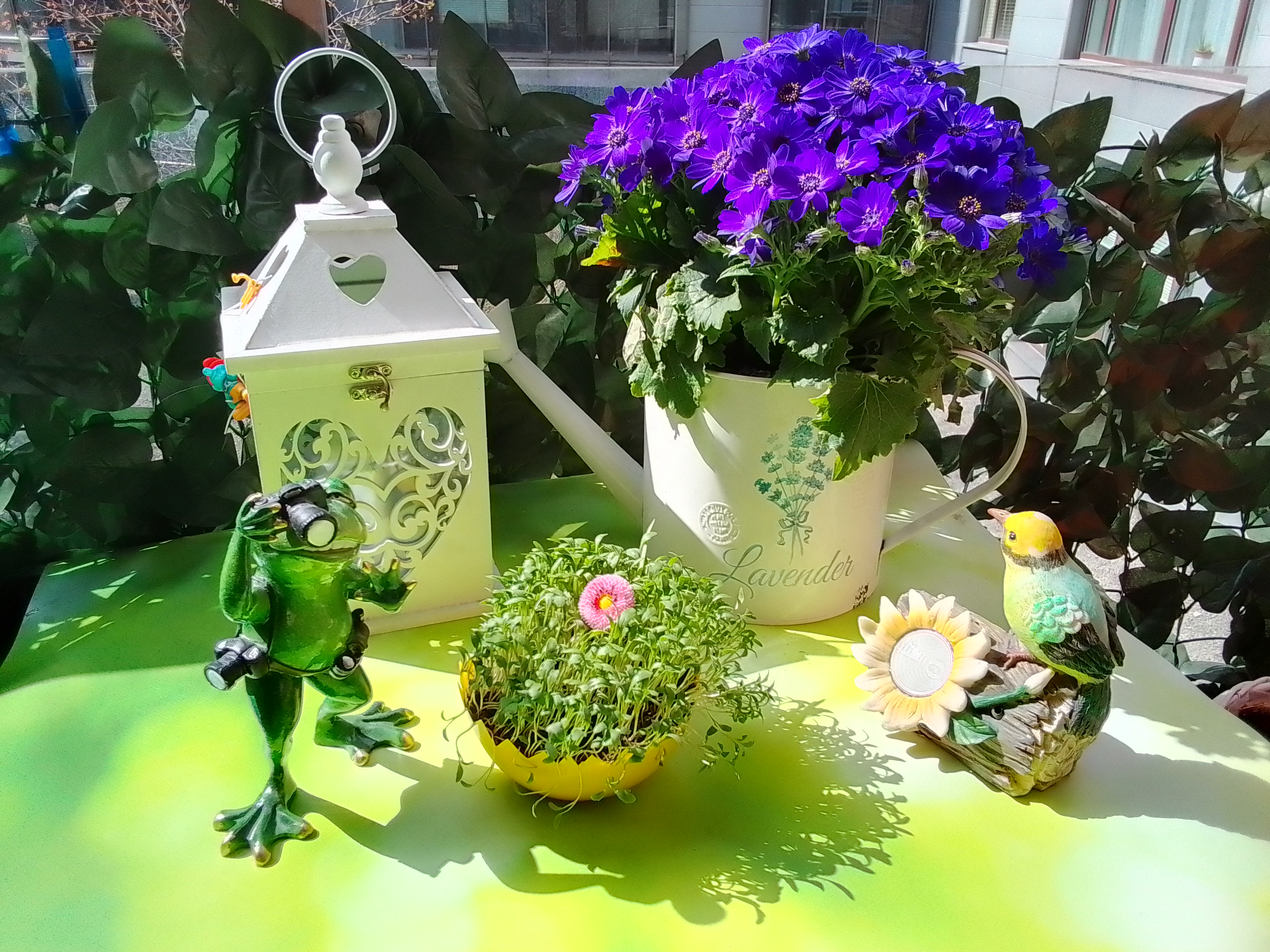 IMG 20220424 103123 HDR