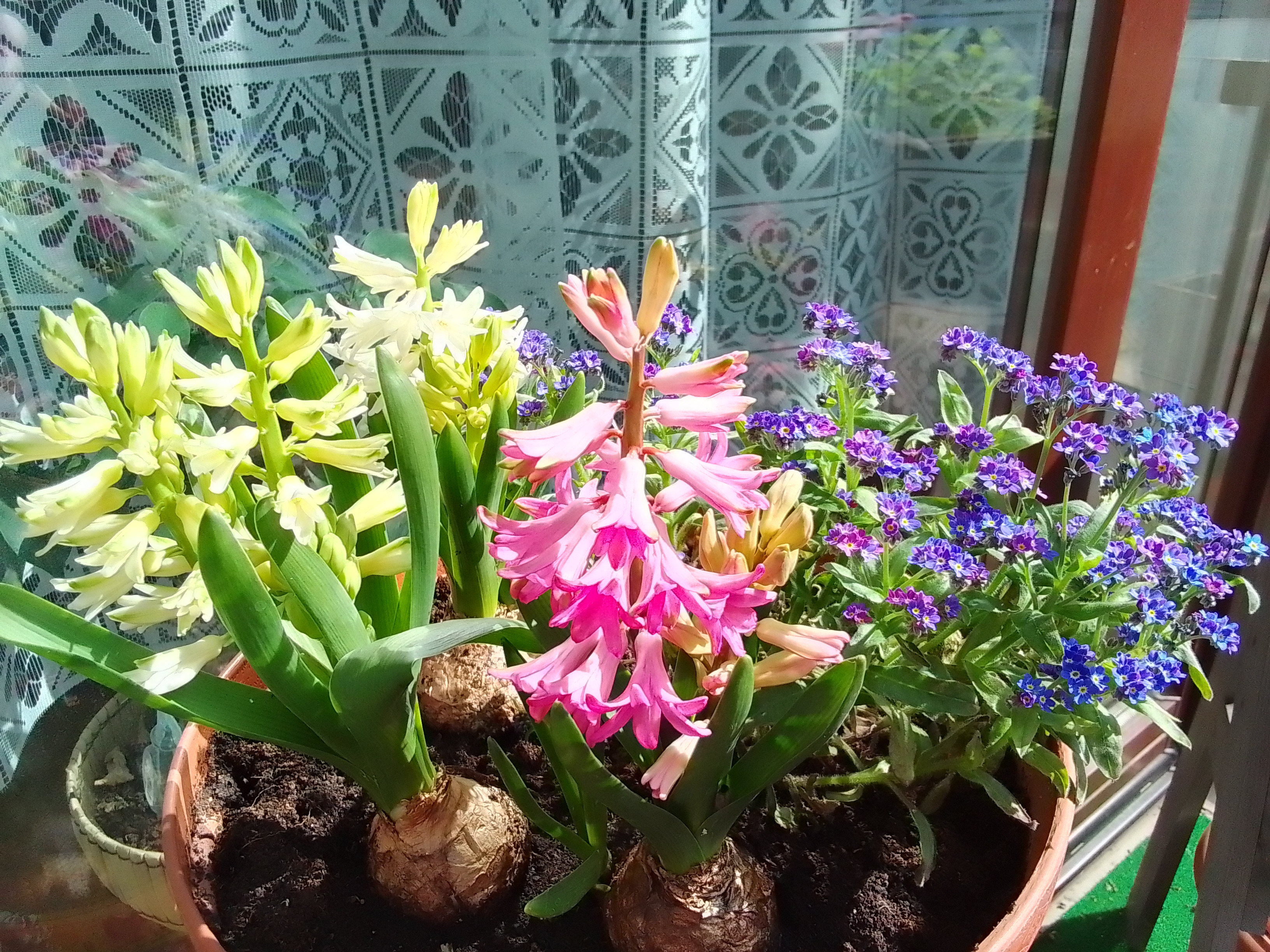 IMG 20220424 103125 HDR