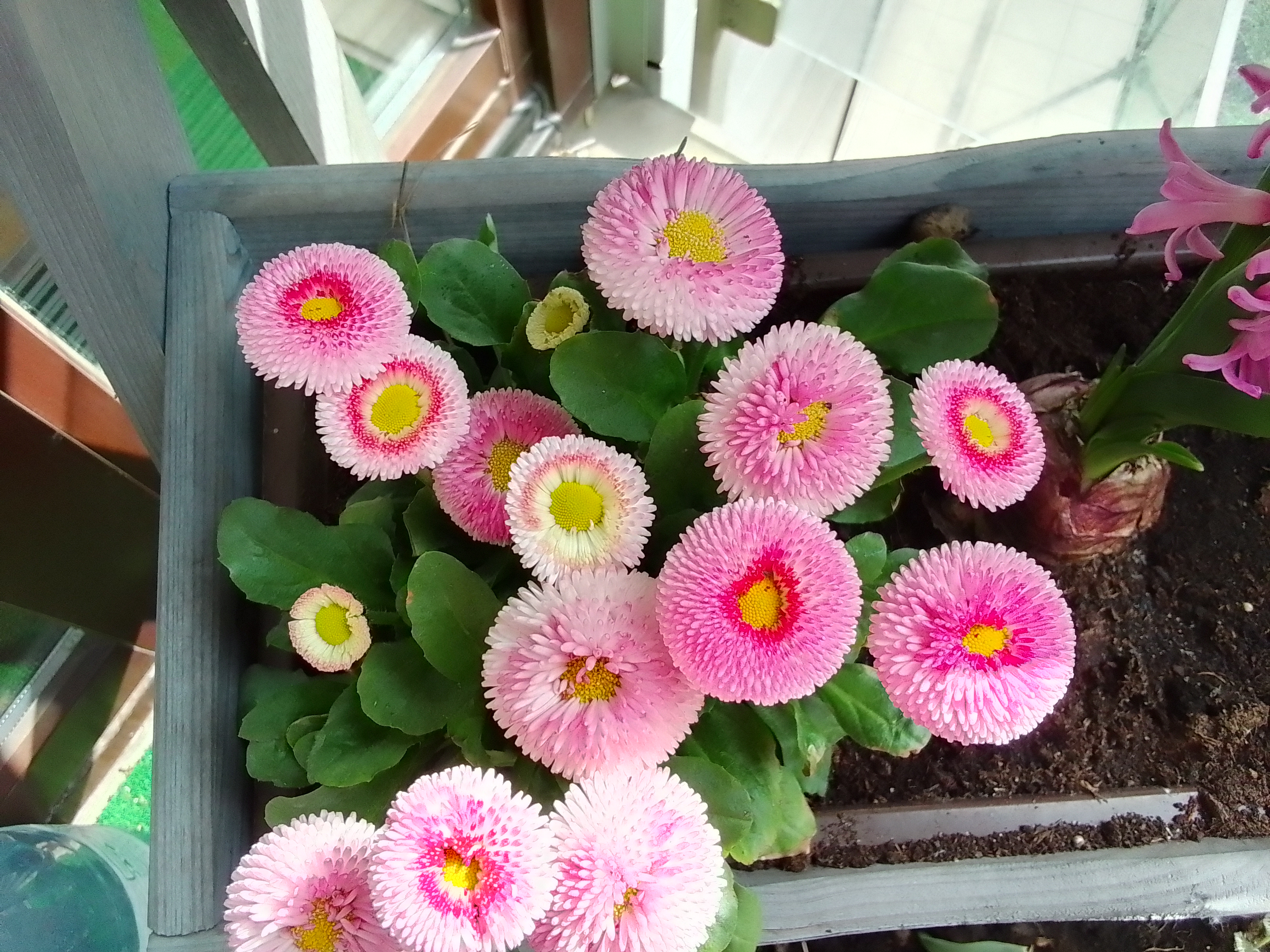 IMG 20220424 103133 HDR