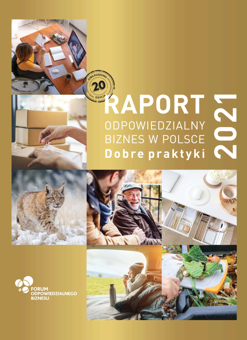 Raport DP 2021 okladka