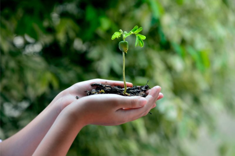 Ochrona planety i klimatu to dziś priorytet ONZ.jpg