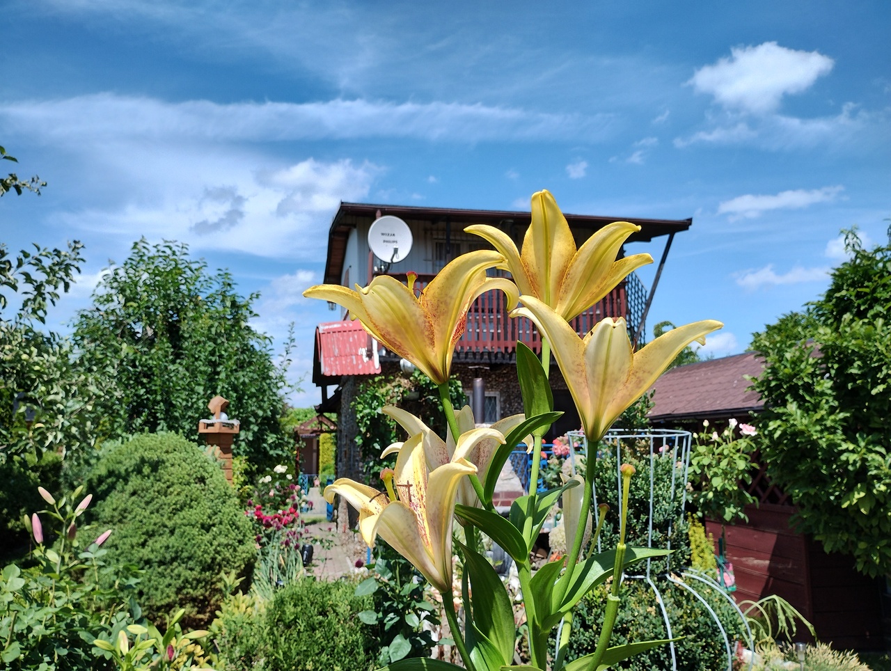 IMG 20220703 135629894 HDR