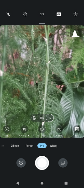 Screenshot 20220703 100431