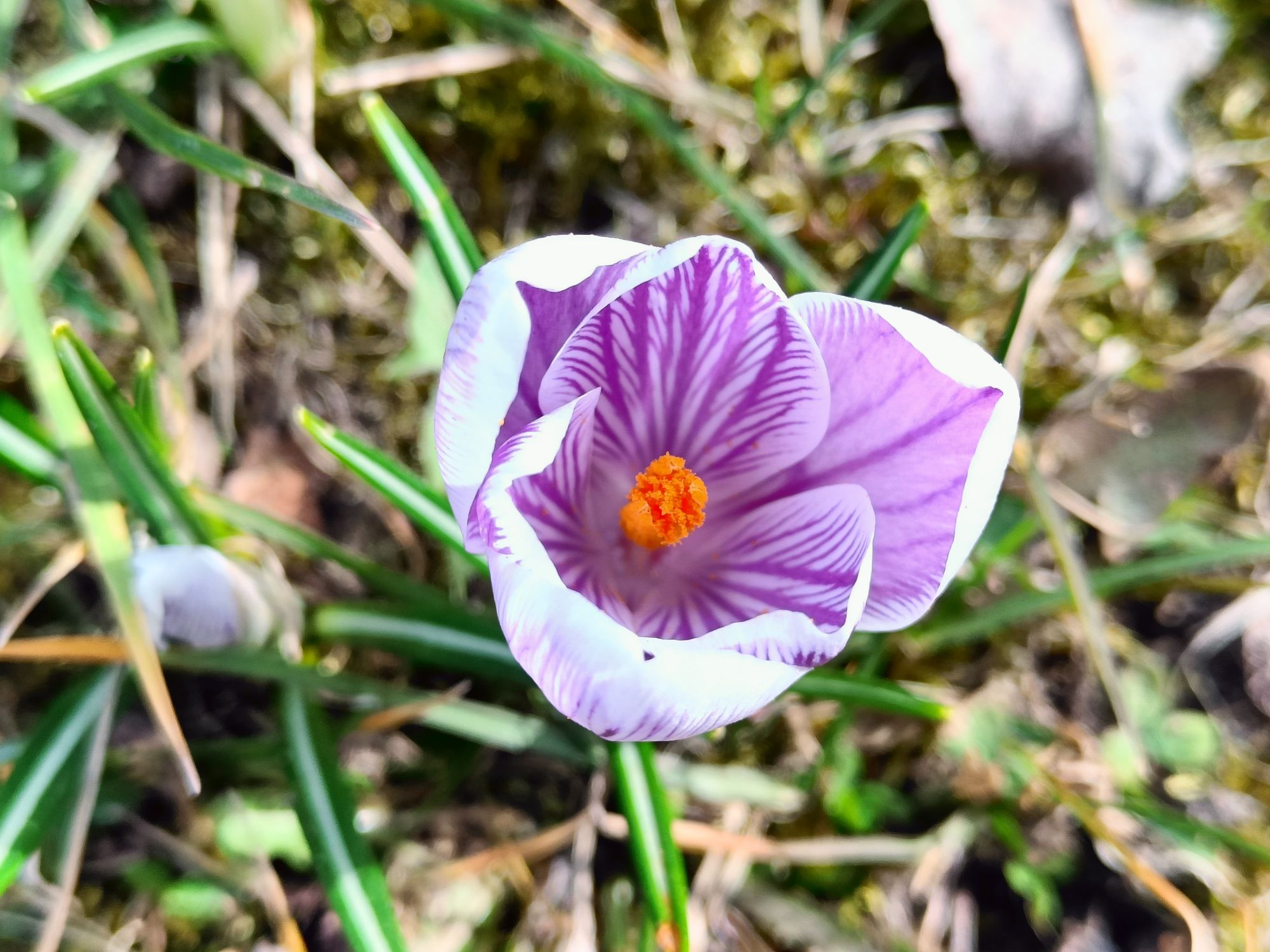 realme 9 pro plus (12)