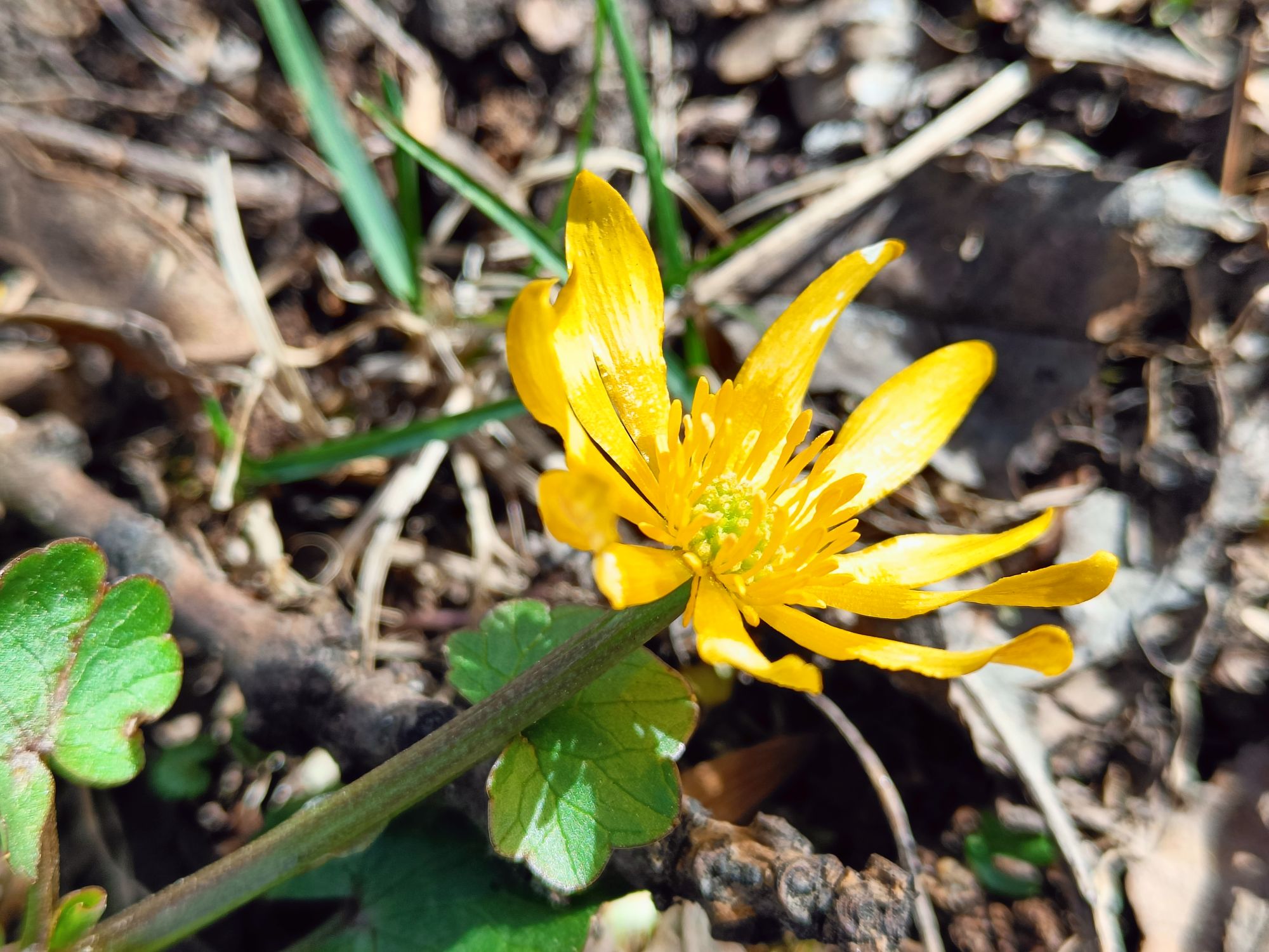 realme 9 pro plus (18)