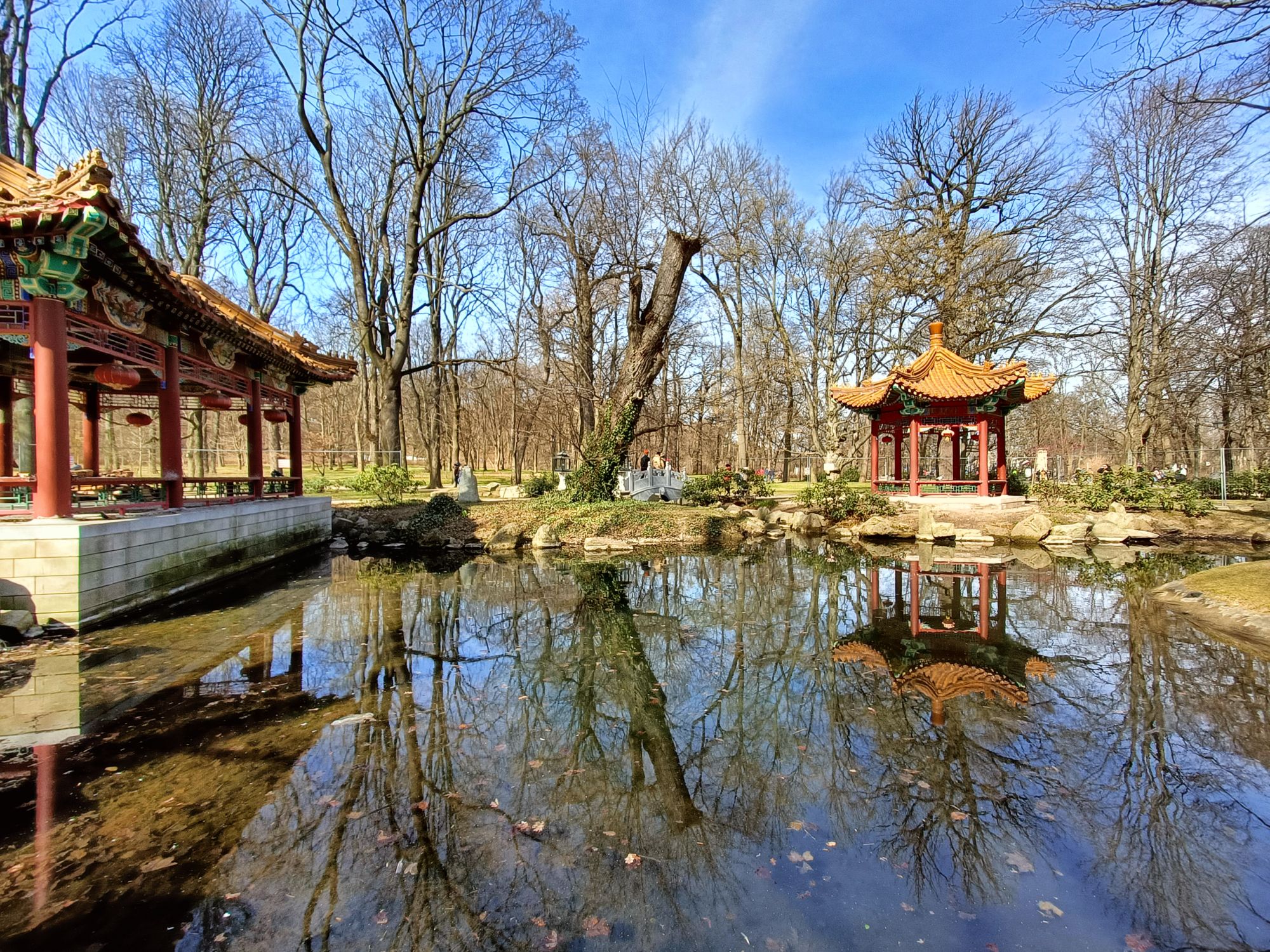 realme 9 pro plus (28)