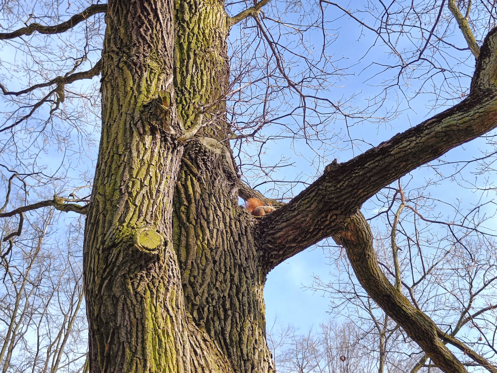 realme 9 pro plus (33)