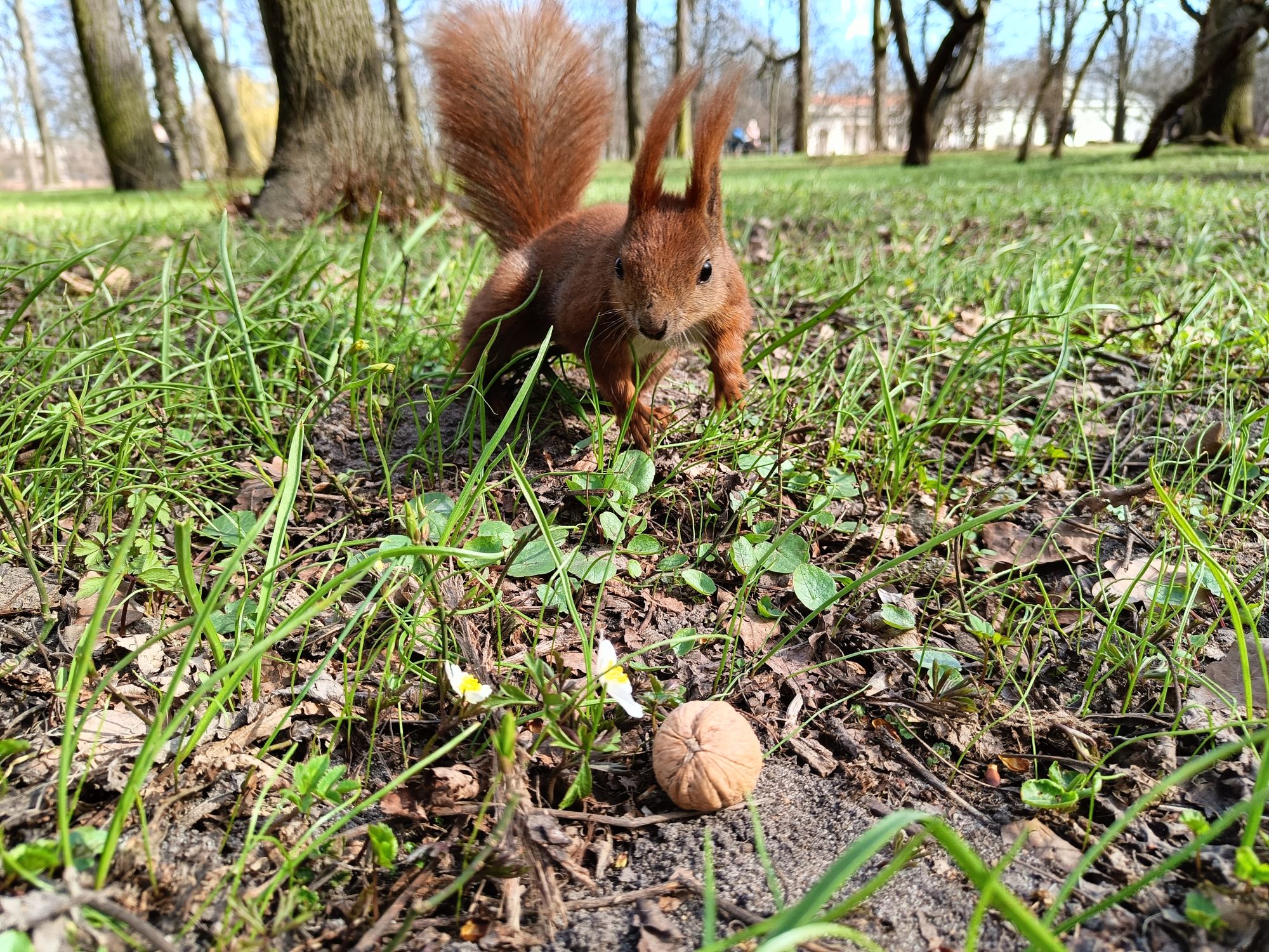 realme 9 pro plus (35)