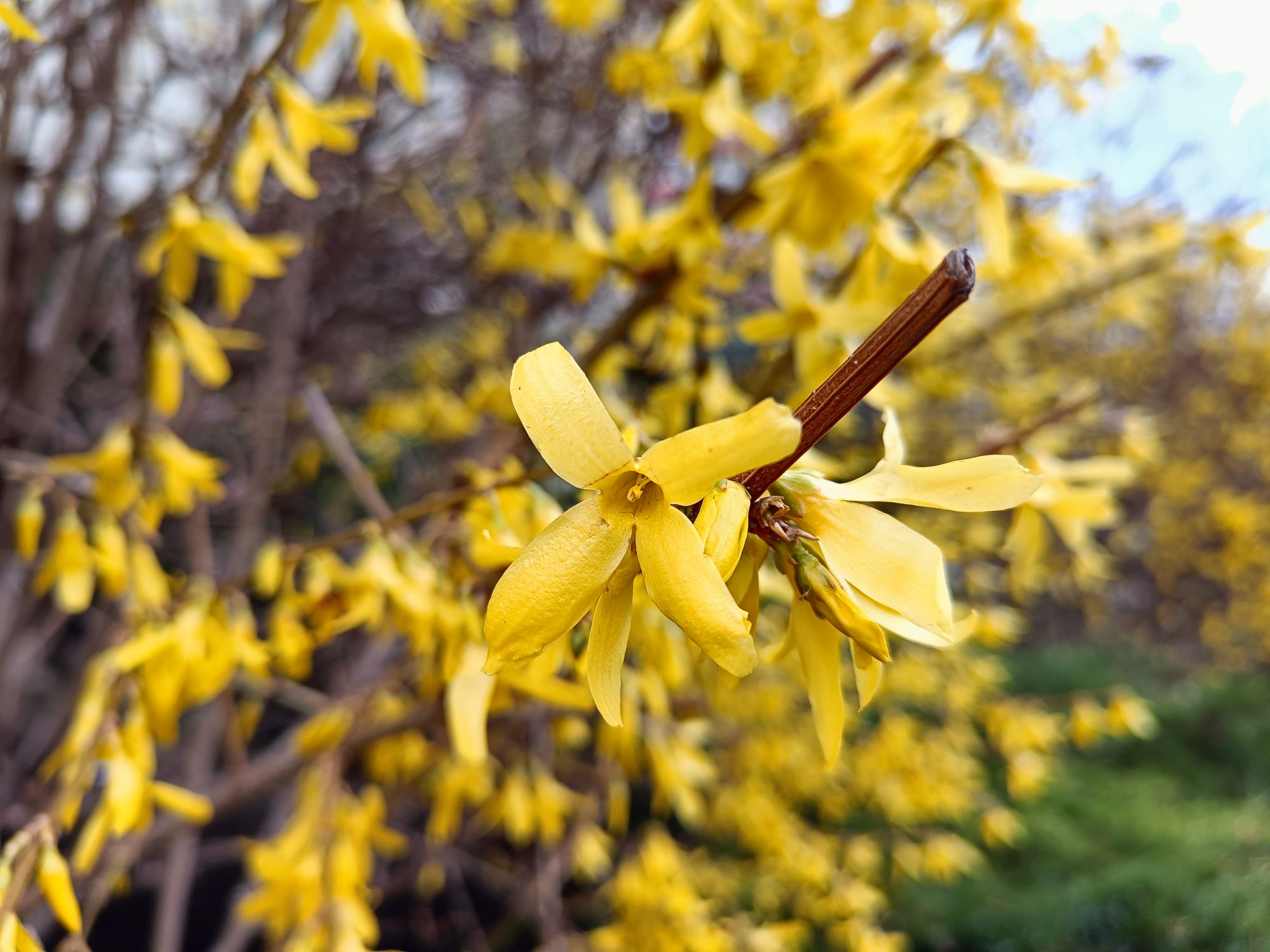 realme 9 pro plus (58)