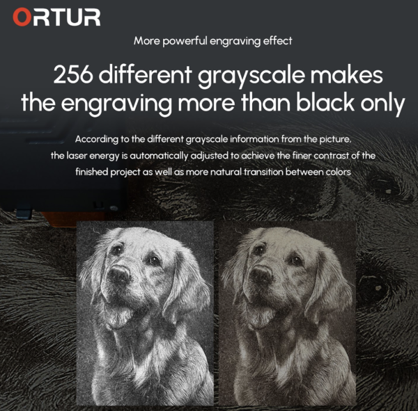 Снимок экрана 2022 08 17 в 19.05.30