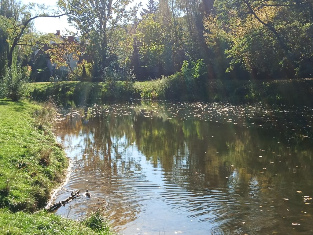 IMG20221007132627