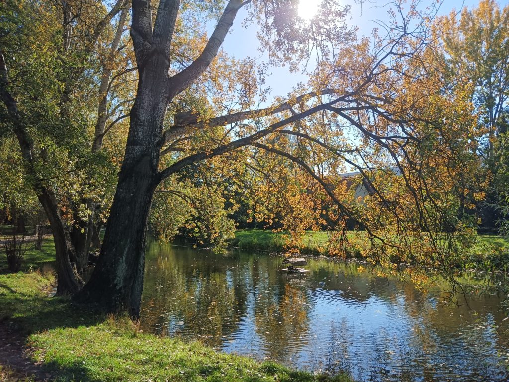 IMG20221007132727