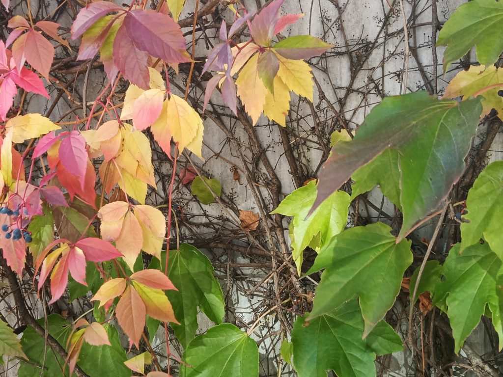 IMG20221007134013
