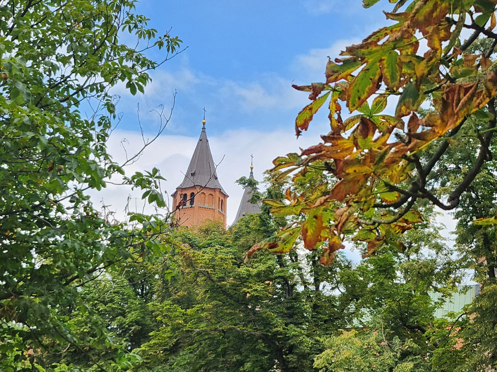 Samsung Galaxy Z Flip 4   020