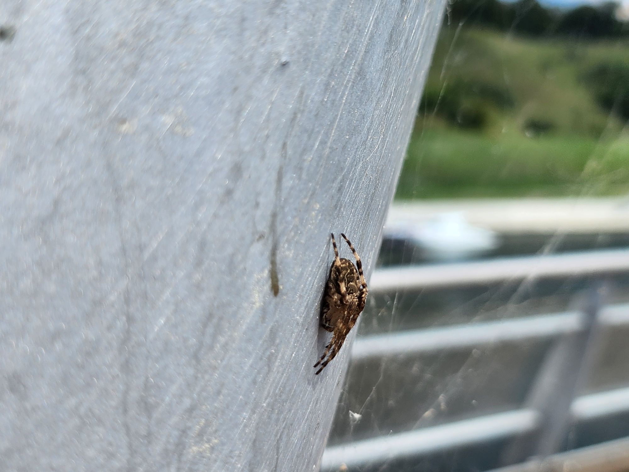 Samsung Galaxy Z Flip 4   107