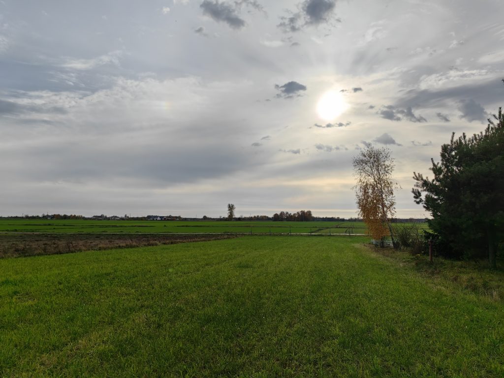 IMG 20221030 135709