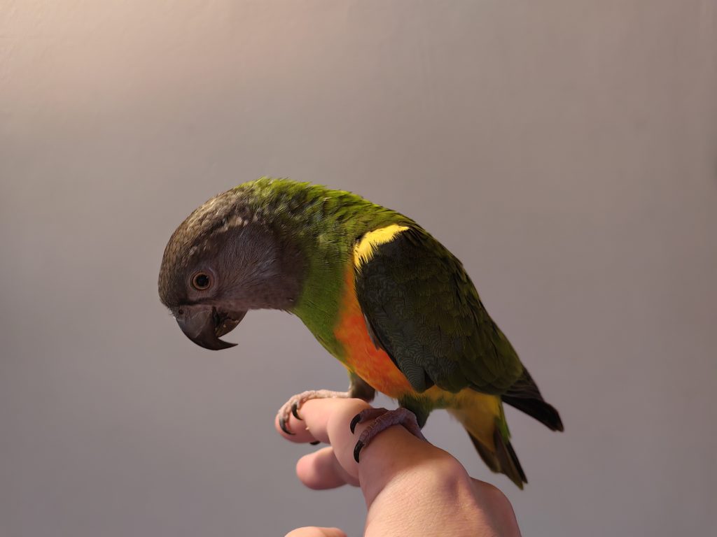 IMG 20221118 082043