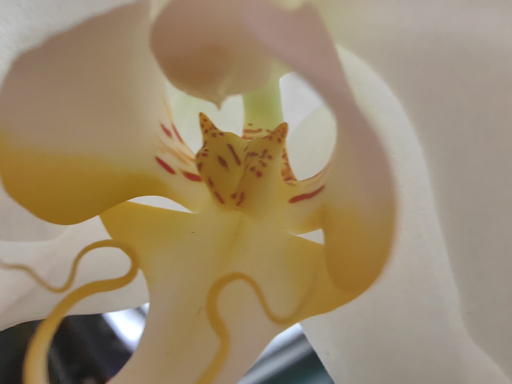 IMG 20221118 083041