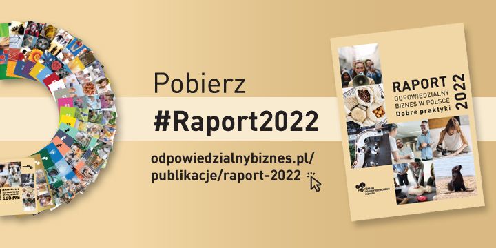 RaportDP2022 1