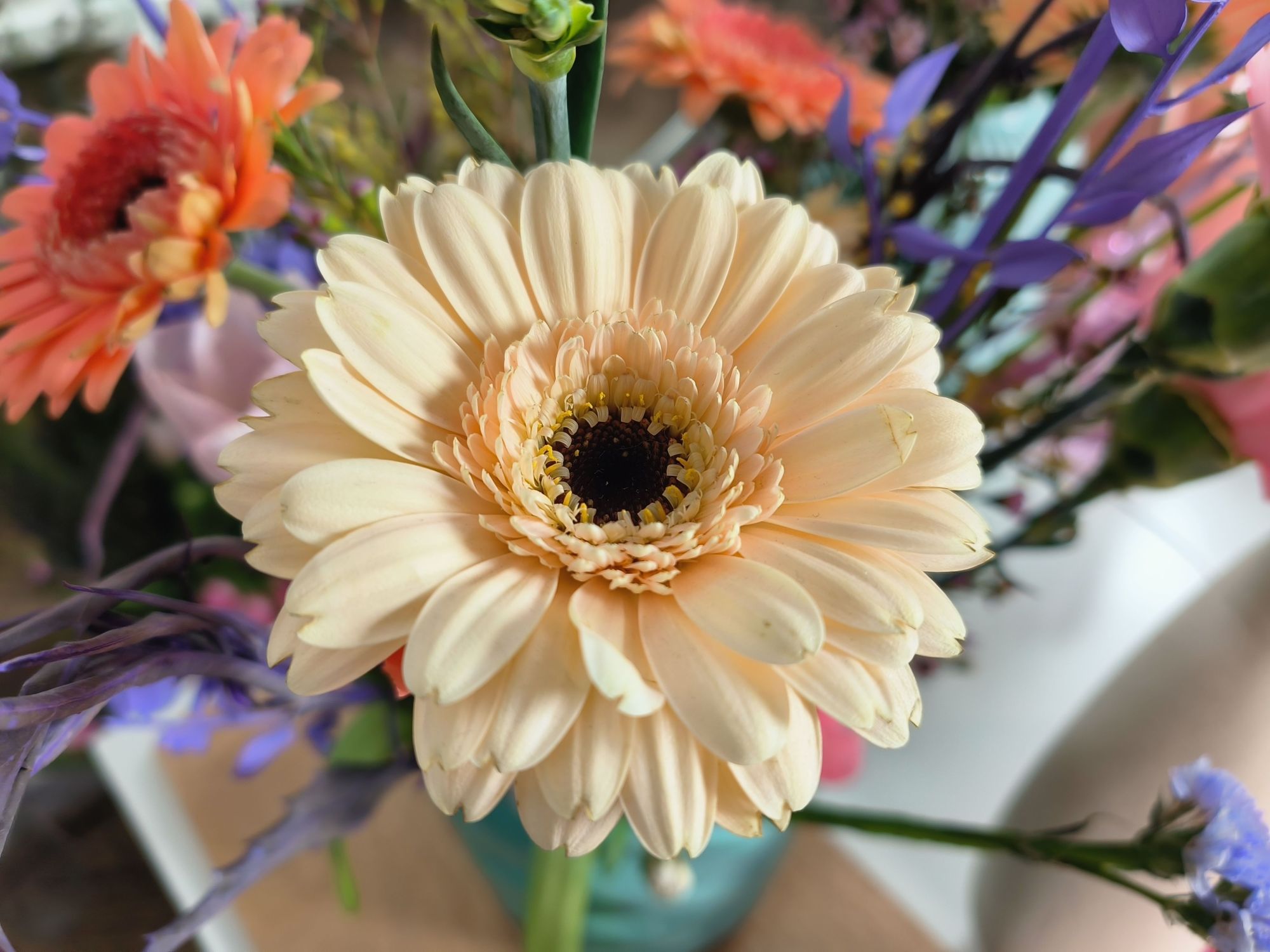 Oppo Find N2 Flip 031