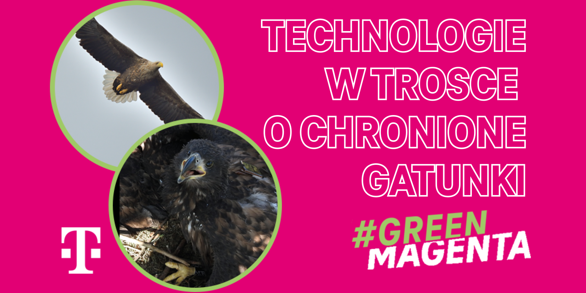 T-Mobile pomoże badaczom w monitorowaniu populacji orłów bielików zamieszkującej teren SGGW